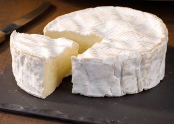 Тоска по плесени