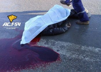 В Новосибирске КамАЗ насмерть сбил мужчину, переходившего дорогу по пешеходному переходу