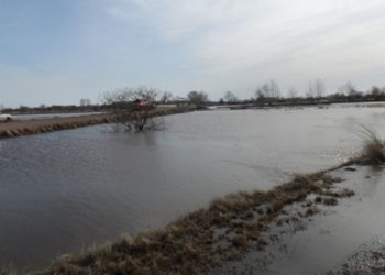 МЧС сообщает о 18 эвакуированных из зоны подтопления на окраине Новосибирска