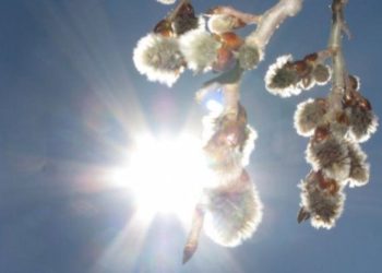 На Пасху новосибирцев ожидает 17-градусная жара