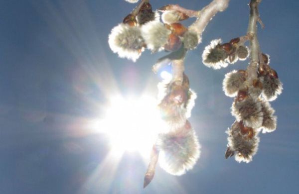 На Пасху новосибирцев ожидает 17-градусная жара