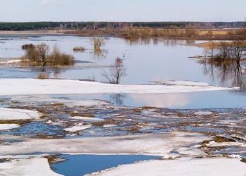 Частный сектор Ленинского и Кировского районов Новосибирска топит прорвавшая дамбу река Тула