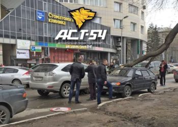 Ураган валит с ног людей и вырывает деревья с корнем в Новосибирске (фото)