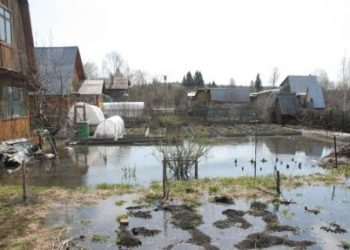 Больше 500 дачных участков попали в зону затопления в пойме Оби в Новосибирске