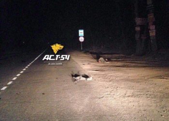 Ночью из-за водителя-лихача погиб человек