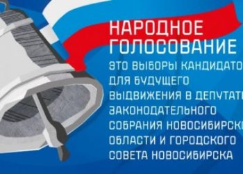 Предварительное Народное голосование стартовало в Новосибирской области