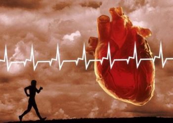 В Новосибирске ученые разрабатывают имплантат, помогающий сердцу качать кровь