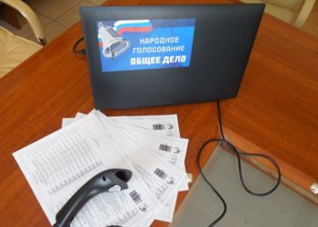 Опубликованы предварительные результаты Народного голосования