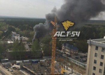Деревянное кафе сгорело напротив парковки Новосибирского зоопарка
