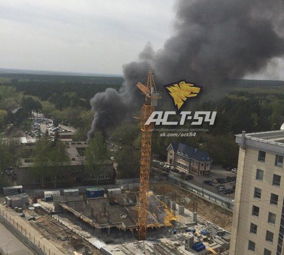 Деревянное кафе сгорело напротив парковки Новосибирского зоопарка