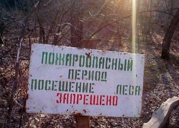 Особый противопожарный режим вводится в 13 районах Новосибирской области