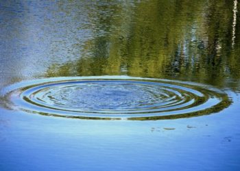 Школьники, пропавшие 15 мая у Бугринского моста, найдены мертвыми