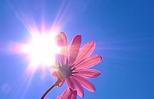 К среде в Новосибирске потеплеет до 28 градусов