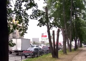 Жители Танковой отстояли полувековые липы