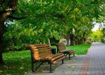 В Новосибирске будут уходить от «одинаковости» парков и скверов