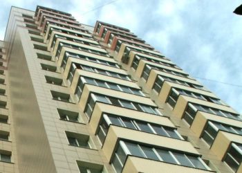 Котенок в Новосибирске упал с 19 этажа на «Лексус» и остался жив-здоров