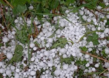 Вместо жары новосибирцев ждет резкое похолодание, шторм, грозы и град