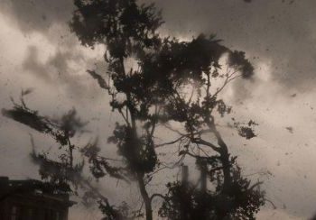 В среду в Новосибирске будет шторм, спасатели призывают закрывать все окна