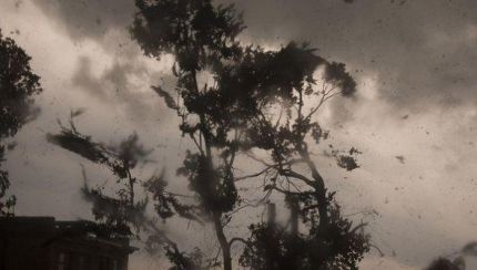 В среду в Новосибирске будет шторм, спасатели призывают закрывать все окна