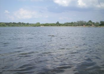 За прошедшие сутки в новосибирских водоёмах утонули четыре человека