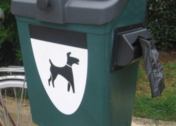 На улицах Новосибирска появились столбики для собачьих меток