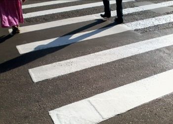 Областные власти выясняют, зачем барабинской администрации «зебра» за 850 тысяч рублей