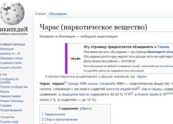 Часть новосибирцев осталась сегодня без доступа к «Википедии»
