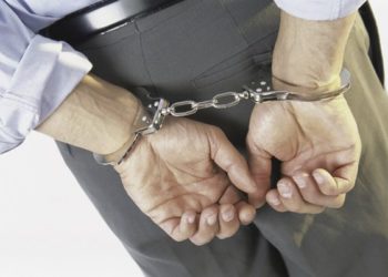 Австрия выдала России новосибирца — члена «труновской группировки»