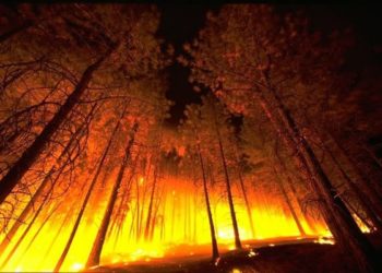 Страна в огне