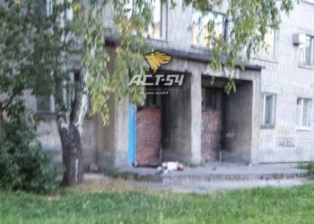 На Затулинке женщина выпала из окна третьего этажа на детскую площадку