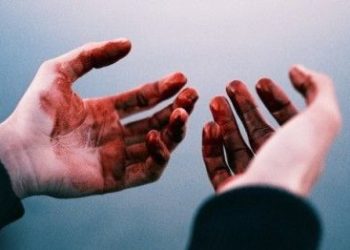 Подозреваемый в убийстве десятиклассницы новосибирский подросток находится в спецлечебнице