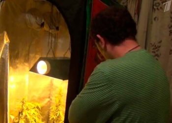 В Новосибирске задержали 25-летнего наркобарона, работавшего на 50 стран