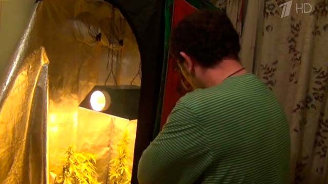 В Новосибирске задержали 25-летнего наркобарона, работавшего на 50 стран