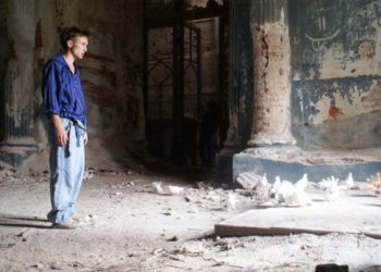 Птицы в городе