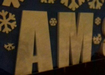 Вандалы оторвали снежинки от сердца хоккейной «Сибири»