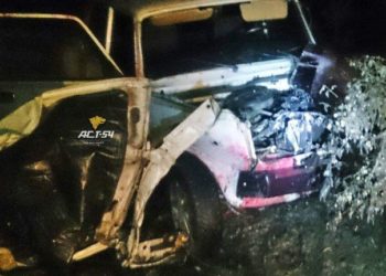 Лихач на автомобиле снес в Дзержинском районе дерево, столб и мусорный бак