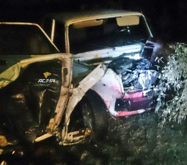 Лихач на автомобиле снес в Дзержинском районе дерево, столб и мусорный бак