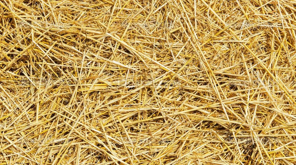 Солома вместо угля — сибирские ученые создают новый вид твердого биотоплива