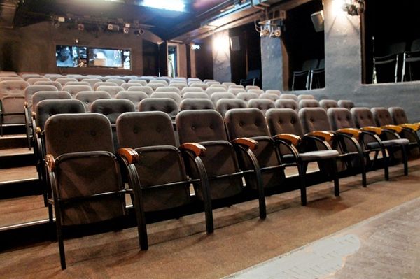 Новосибирская премьера «Ревизора» за 8 млн рублей будет благотворительной