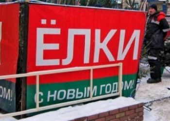 В Новосибирске выявлены незаконные торговцы ёлками