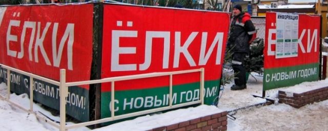 В Новосибирске выявлены незаконные торговцы ёлками