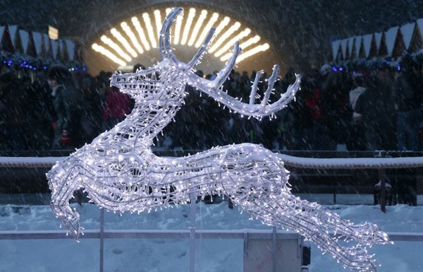 Бюджет на Новый год