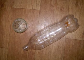 Погибшие на новогодние праздники бездомные пили автомобильный антифриз