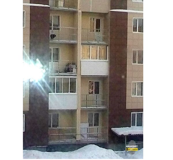 В крещенские морозы новосибирец запер собаку на балконе