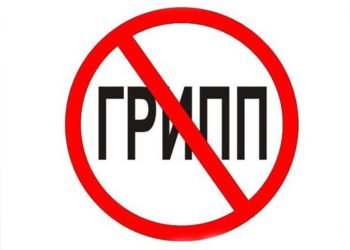 Четыре детсада и одну школу закрыли в НСО из-за гриппа