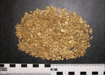 Магаданские полицейские задержали в Новосибирске мужчину с двумя килограммами золота