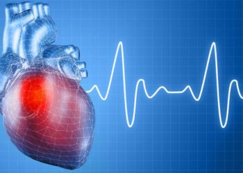 Ученые изобрели лекарство для лечения аритмии на основе яда