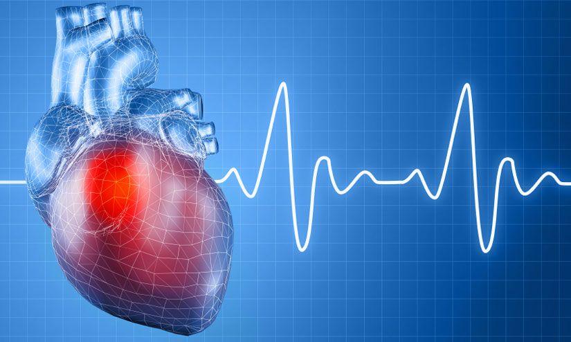 Ученые изобрели лекарство для лечения аритмии на основе яда