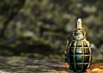 Молодой новосибирец бросил «лимонку» в урну у ТЦ в Санкт-Петербурге