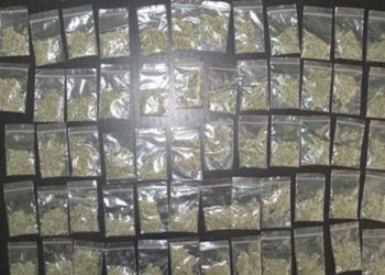 Наркополиция задержала в Томске организаторов конкурса сочинений о «спайсах»